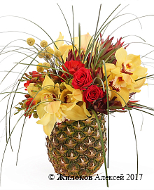 ����� ����������