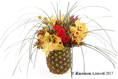 ����� ����������