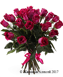 ����� 25 ��� ���� ���