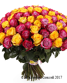 ����� ��� ��� �� �����