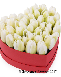 ���������� �������� ����������� � ������� ������� ������ (����), �����