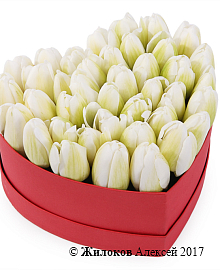 ���������� �������� ����������� � ������� ������� ������ (����), �����