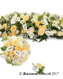 �������� ����� �����