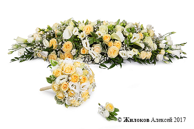 �������� ����� �����