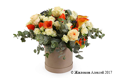 ����� ��������� ���������� � ������� �������