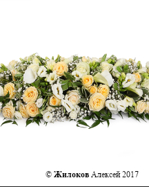 ���������� ����� ������