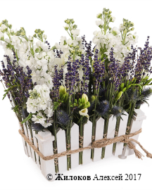 ���������� ������ ����� � �����