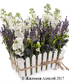 ���������� ������ ����� � �����