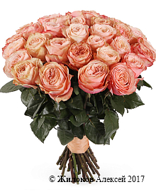 ����� 35 ����������� ��� ������