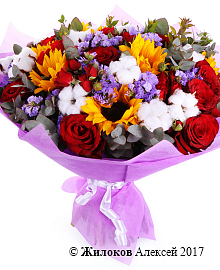 ����� ����������� ����������