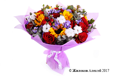 ����� ����������� ����������