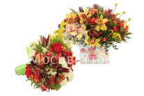 ��������� �������� � ��������� �����