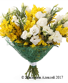 ����� � ������� ������ � �������