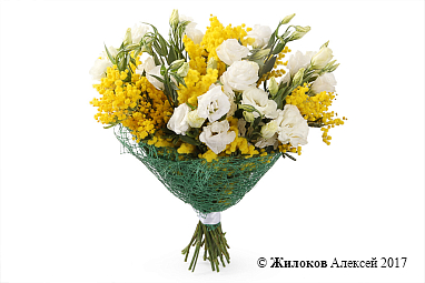 ����� � ������� ������ � �������