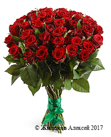 ����� �������� ���, 51 ����