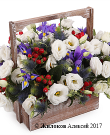 ���������� � ���� ������ � �����