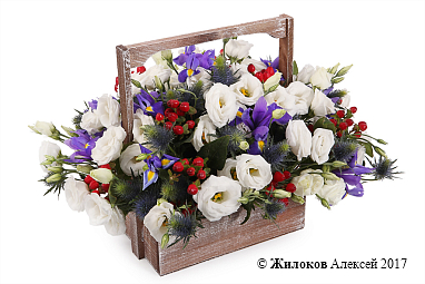 ���������� � ���� ������ � �����