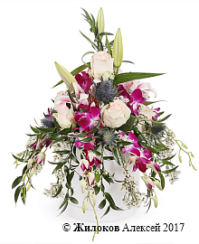 ����� ������� � ������� �������