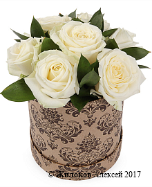 ����� 7 ��� ������� � ������� �������