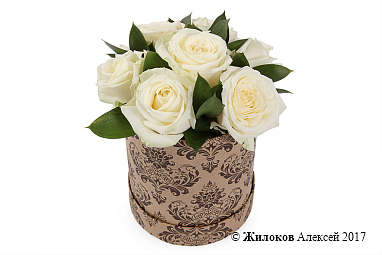 ����� 7 ��� ������� � ������� �������