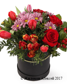 ����� ������ � ������� �������