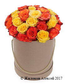 ����� ������� ������� � ������� �������