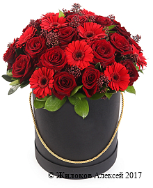 ����� ��������� � ������� �������