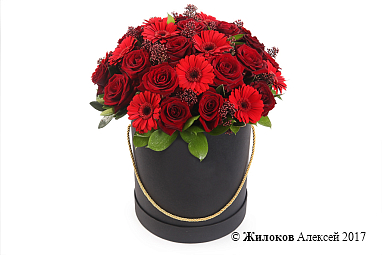 ����� ��������� � ������� �������