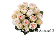 Букет 17 роз Сеньорита