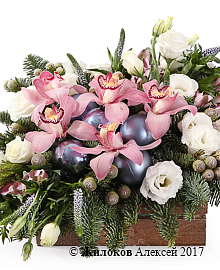 ���������� ����������� �������� � �����