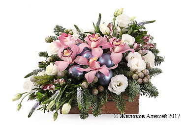 ���������� ����������� �������� � �����