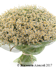 ����� 201 �������