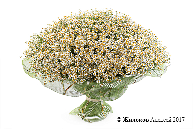 ����� 201 �������