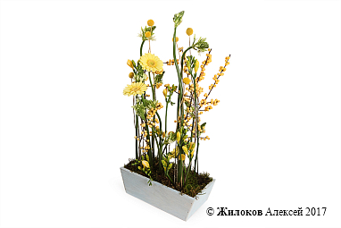 ���������� ������ ����� � �����