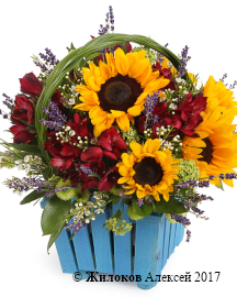 ���������� ��������� ������ � �����