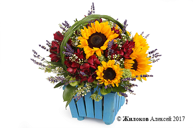 ���������� ��������� ������ � �����