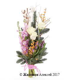 ����� ������� �������