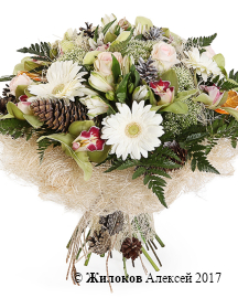 ����� ����� ������� ����