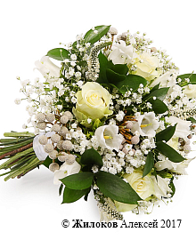 ����� ������� ��������