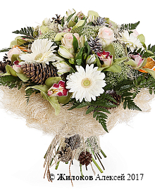 ����� ����� ������� ����