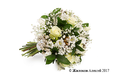 ����� ������� ��������