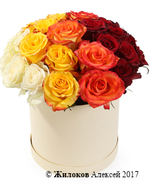 ����� ��� ������� (��� �����) � ������� �������