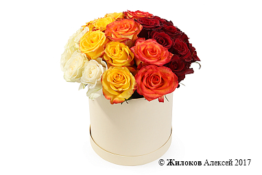 ����� ��� ������� (��� �����) � ������� �������