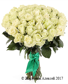 ����� 51 ���� ��������