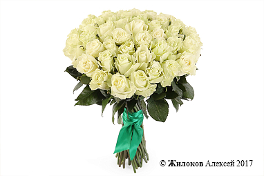 ����� 51 ���� ��������