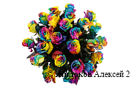 Букет 25 Радужных роз