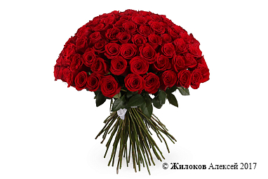 ����� 101 ���� ������