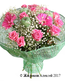 ����� ������������ �������