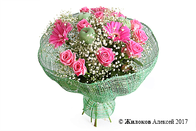 ����� ������������ �������