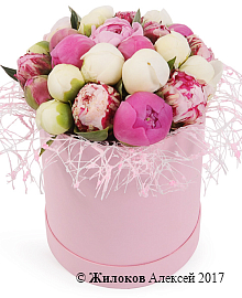 ����� �� ������ ����� � ������� �������